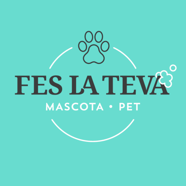 Renta la mascota sense embrutar casa teva!